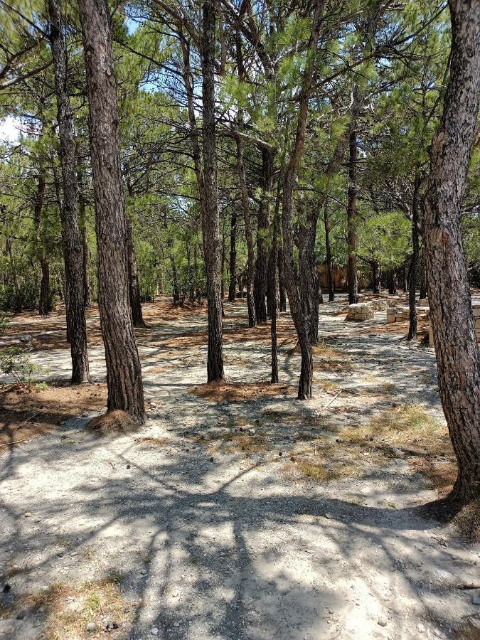 Sea View Pine House Villa Makry Gialos  Exterior photo