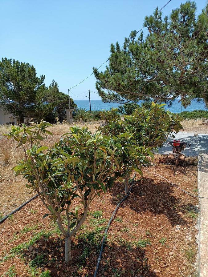 Sea View Pine House Villa Makry Gialos  Exterior photo